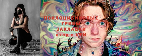 apvp Балахна