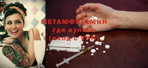 шишки Белоозёрский